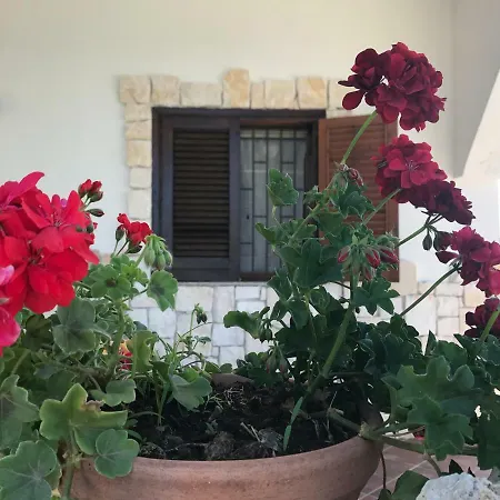 Rosa - Ai Piedi Dell'etna Vakantiehuis