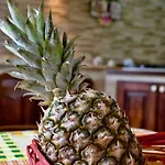 Rosa - Ai Piedi Dell'etna Holiday home