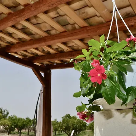 Holiday home Rosa - Ai Piedi Dell'etna *
