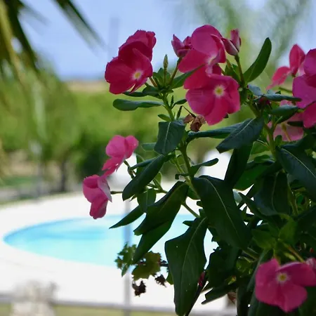 Holiday home Rosa - Ai Piedi Dell'etna Brucoli