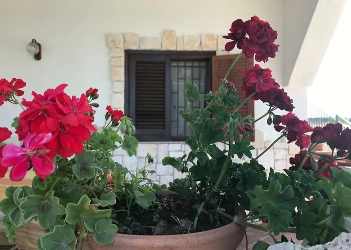 Rosa - Ai Piedi Dell'etna בית נופש