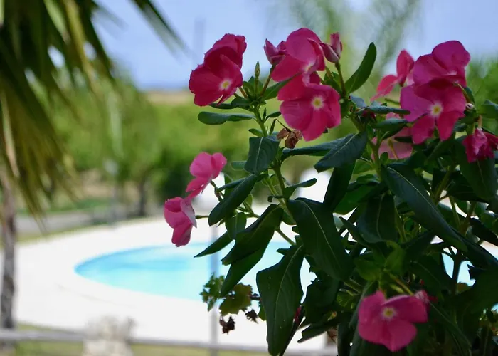 בית נופש Rosa - Ai Piedi Dell'etna ברוקולי